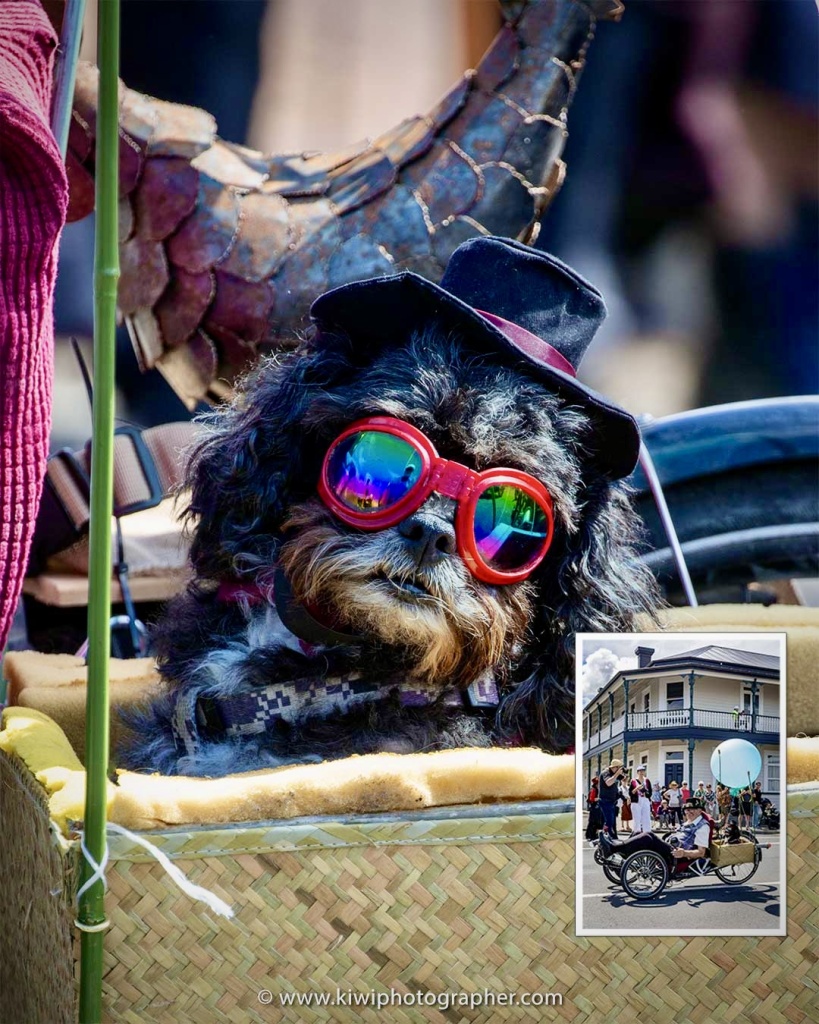 Steampunk Thames 2024 - Groovy dog